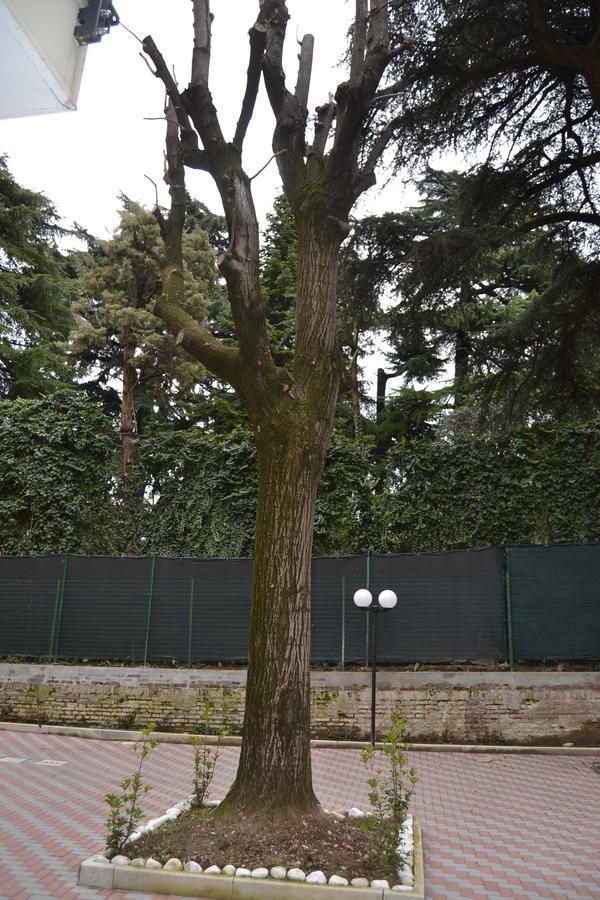 Porte Di Bologna Eksteriør bilde
